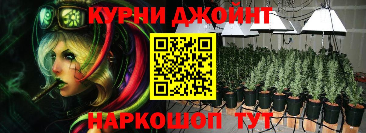 Каннабис OG Kush  Каннабис Bruce Banner  Ефремов  Вход с VPN  Каннабис ГИДРОПОН 